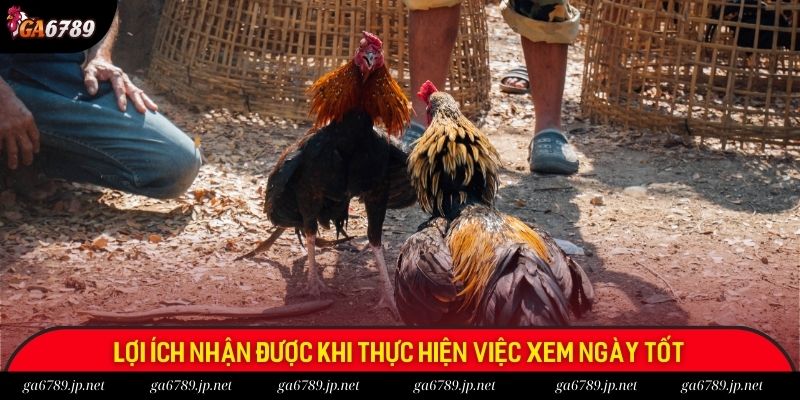 Lợi ích nhận được khi thực hiện việc xem ngày tốt