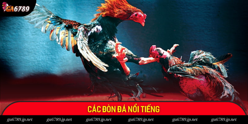 Một số đòn đá nổi tiếng