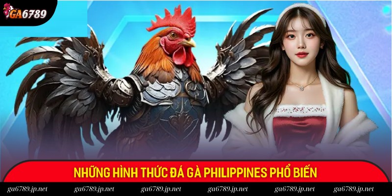 Có 3 hình thức chọi gà Philippines phổ biến được yêu thích