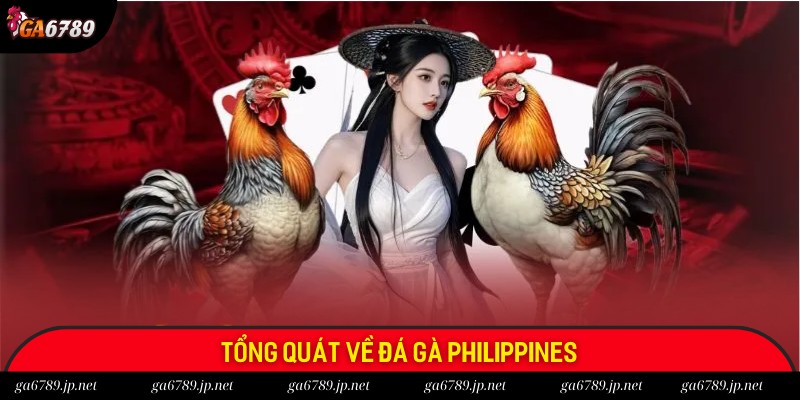 Giới thiệu tổng quát về đá gà Philippines tại Ga6789