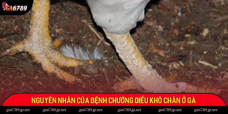 Một số nguyên nhân thường gặp