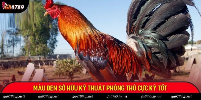 Màu đen sở hữu kỹ thuật phòng thủ cực kỳ tốt