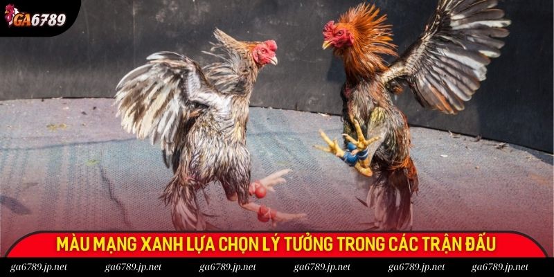 Màu mạng xanh lựa chọn lý tưởng trong các trận đấu